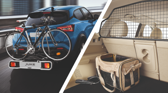 Heckfahrradträger und Gepäckraum-Trenngitter