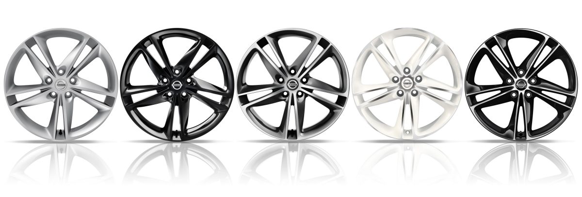 19" IBISCUS