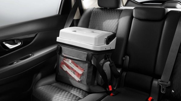 cool box 20 L