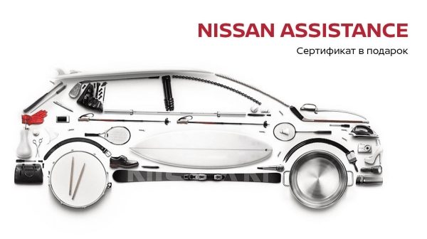 Nissan Assistance