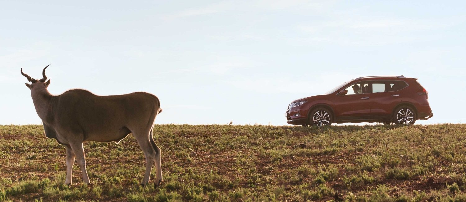 New X-Trail Offers