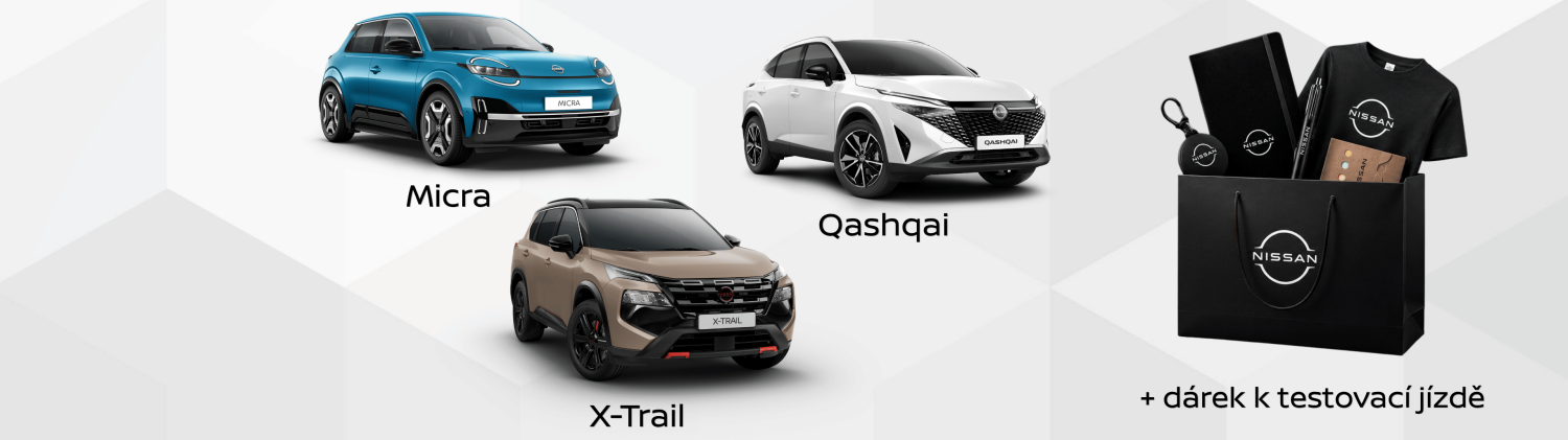 Nissan test drive day form