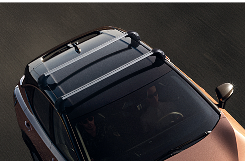 Silberne Querträger auf dem Dach eines Nissan ARIYA montiert.