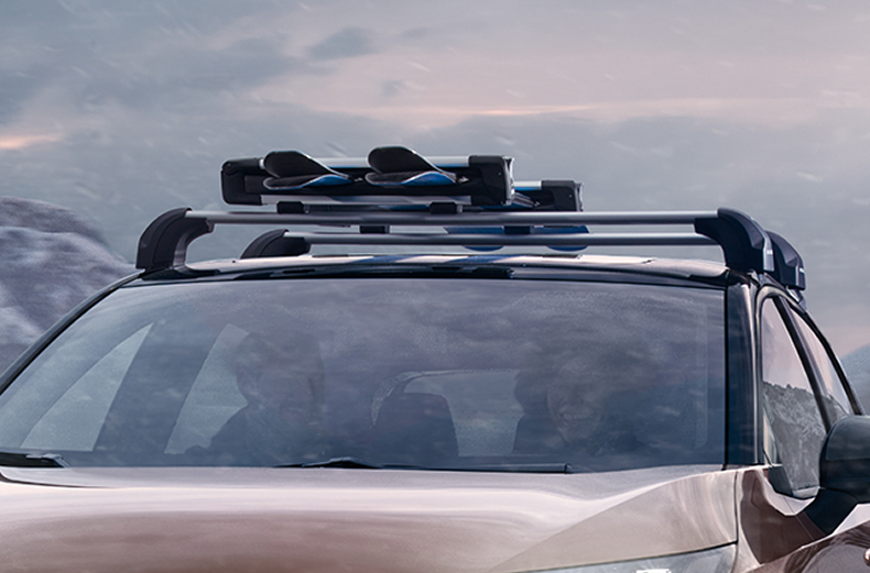 Skiträger mit zwei Paar Skiern auf dem Dach eines Nissan ARIYA montiert – im Hintergrund eine Berglandschaft.