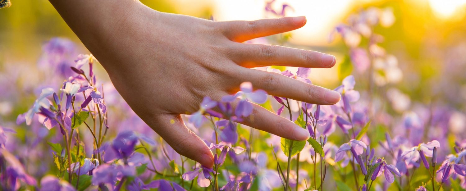 Visual Frühlingsangebote