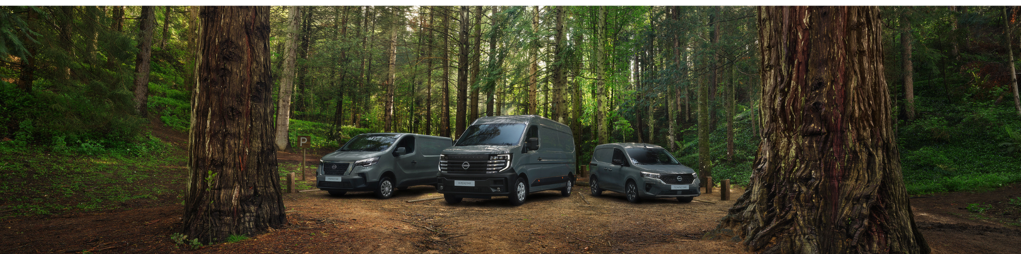 Gama de vehículos comerciales Nissan estacionados en un bosque.