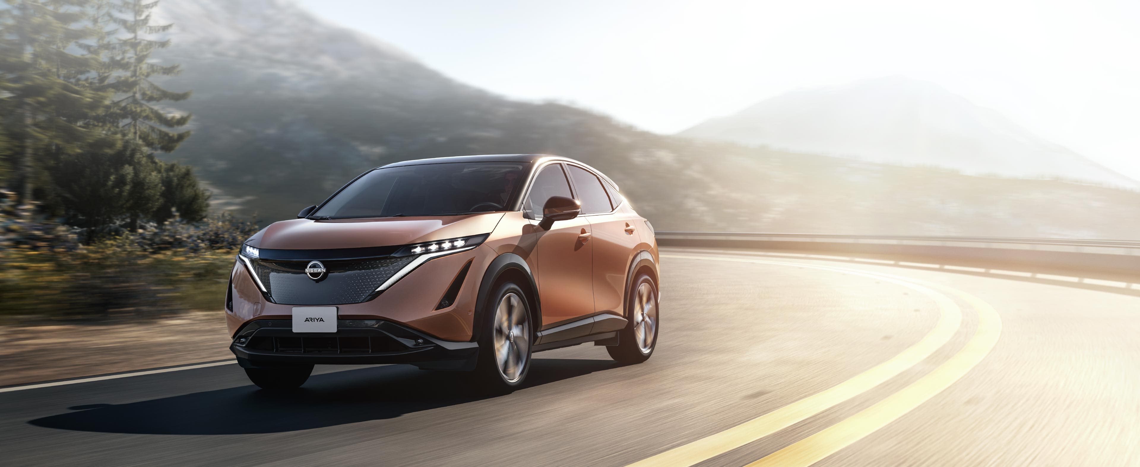 Nissan Ariya.