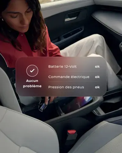 inside car woman