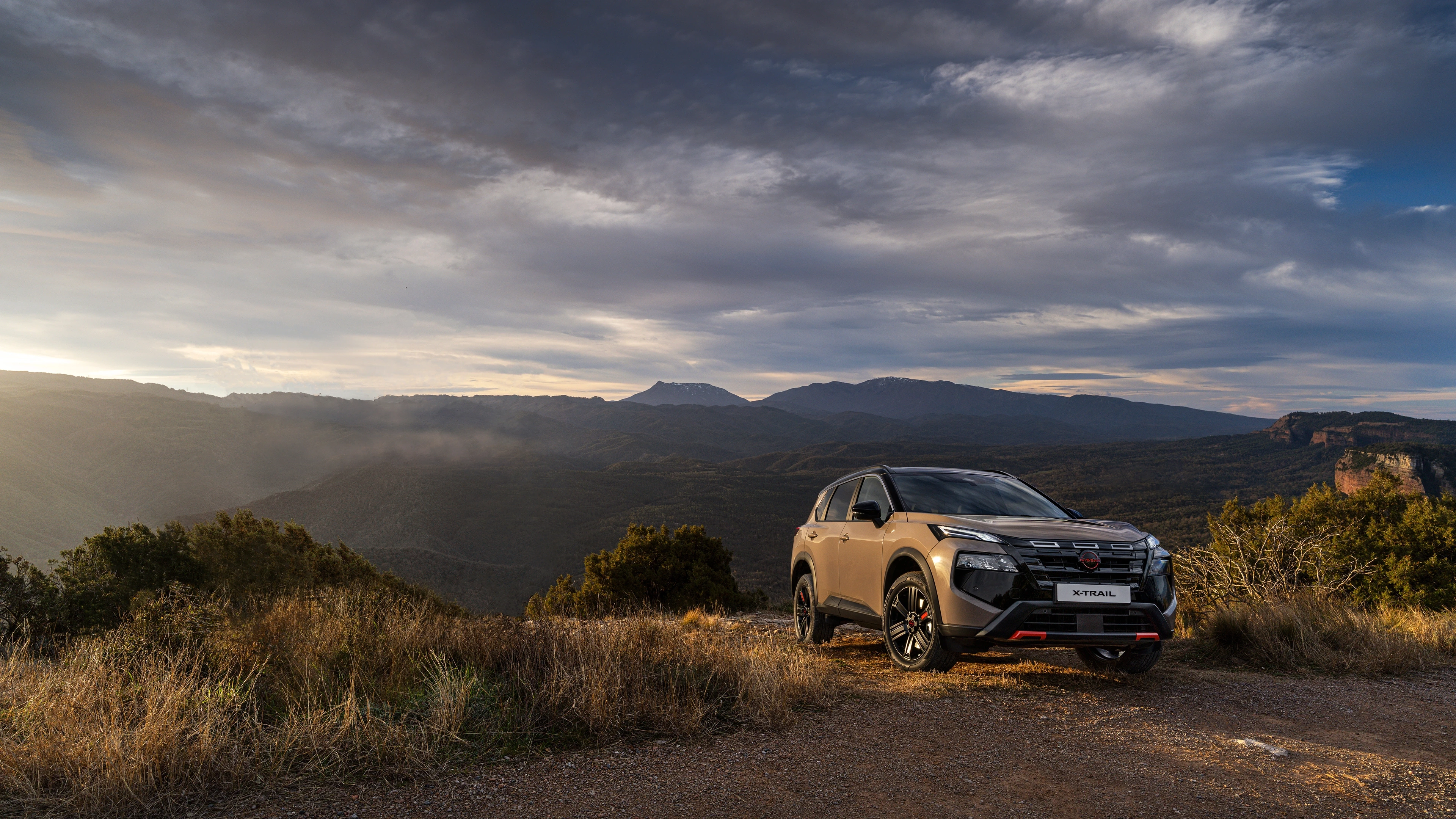Nissan X-Trail Interior profile view