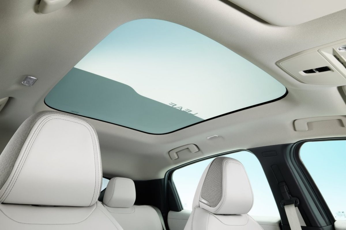 all new leaf