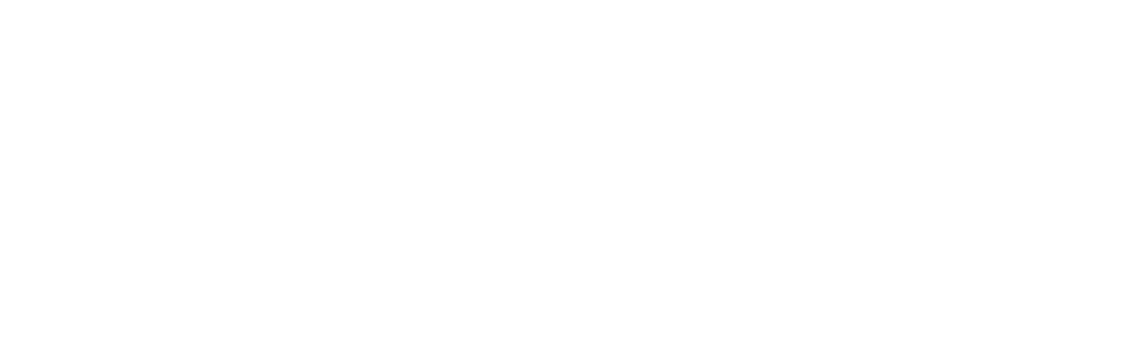 Nissan MORE - tot 10 jaar garantie