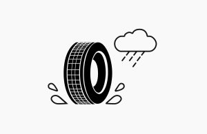 Tyre Label Wet Braking Performance Icon