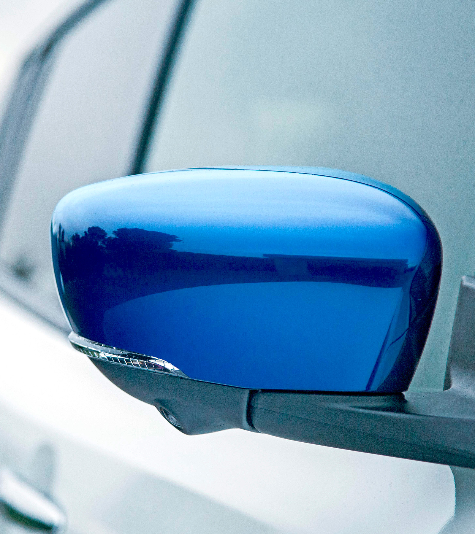 Coques de rétroviseur bleues Nissan LEAF