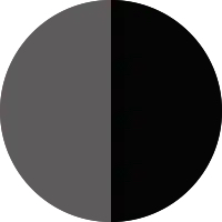 Two Tone (Dark Grey Metallic + Black Roof)