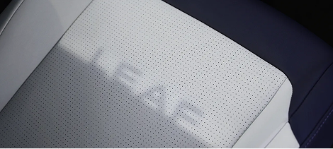 Leaf shadow from dimming roof