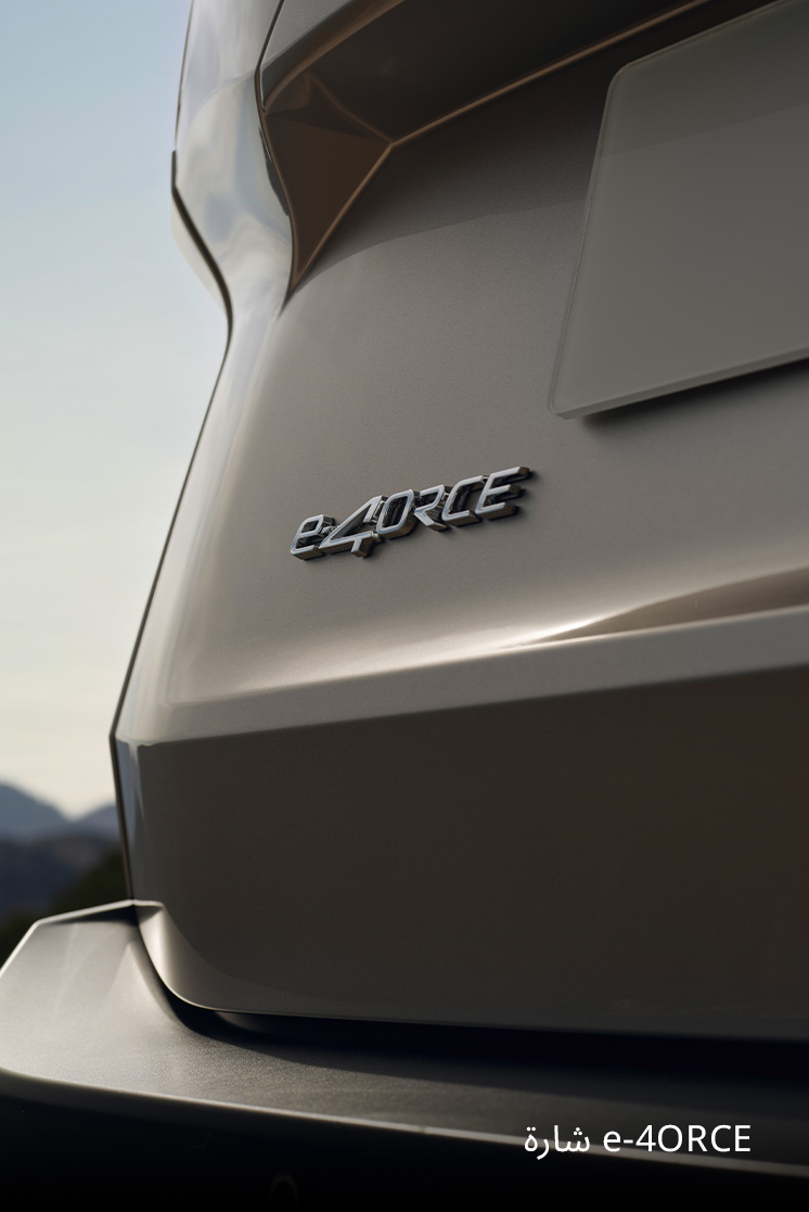 Nissan X-Trail e4ORCE Badge