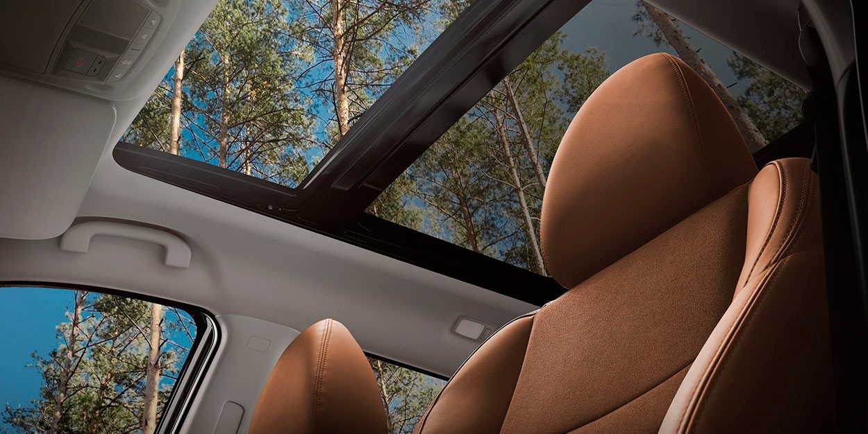 Панорамная крыша