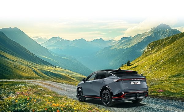 NISSAN original service